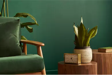 Explore the Boundless Horizons of Interior Design